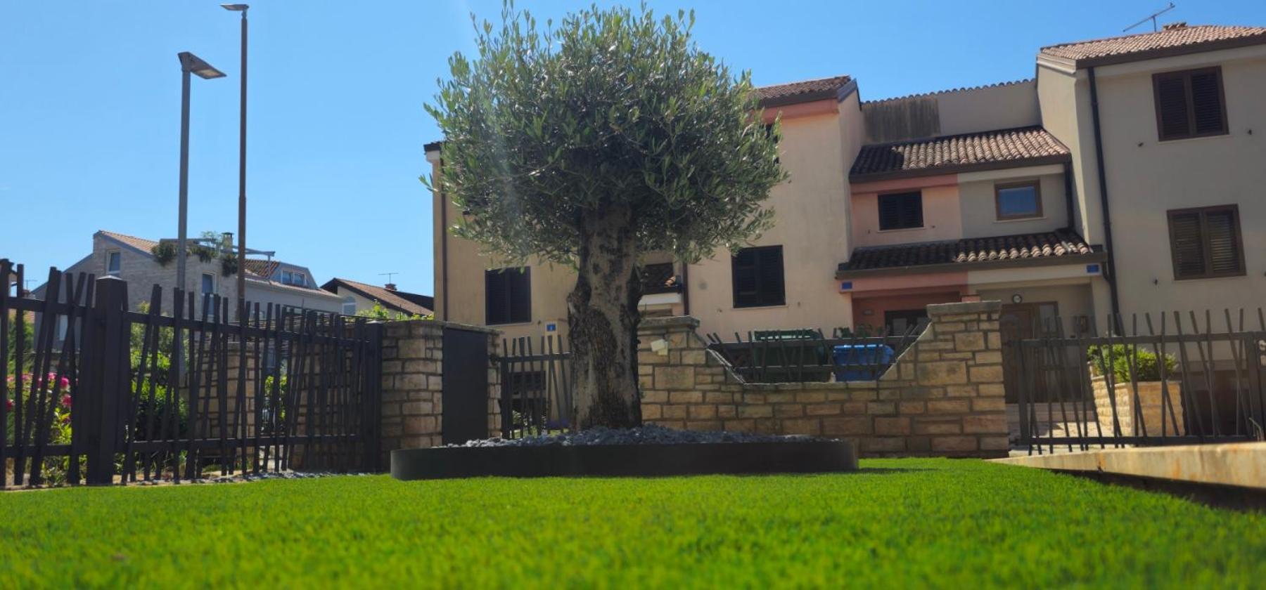 Kadenca * Umag