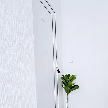 Kadenca Apartment Umag Exterior photo