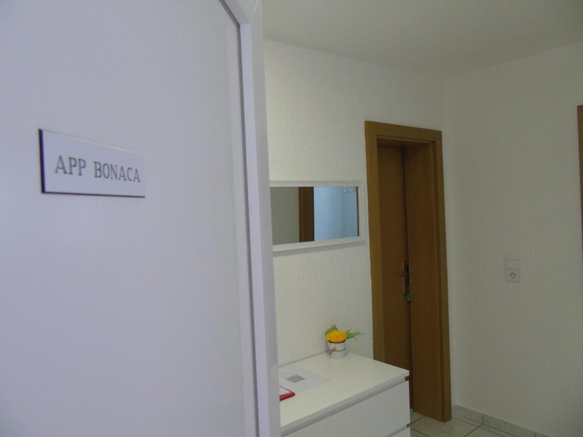 Kadenca Umag
